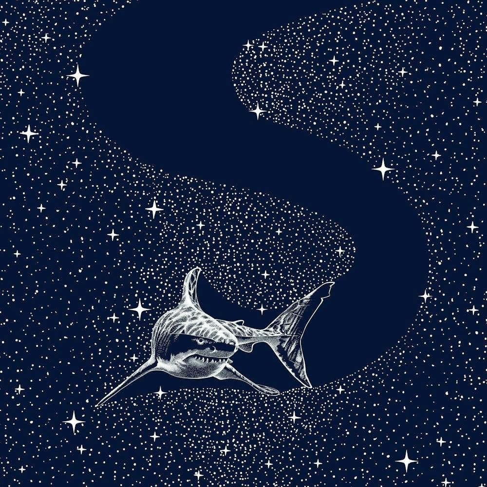 Starry Shark SQUARE