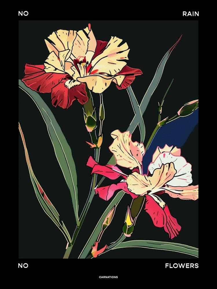 No Rain No Flowers Affiche Œillet Dianthus 5