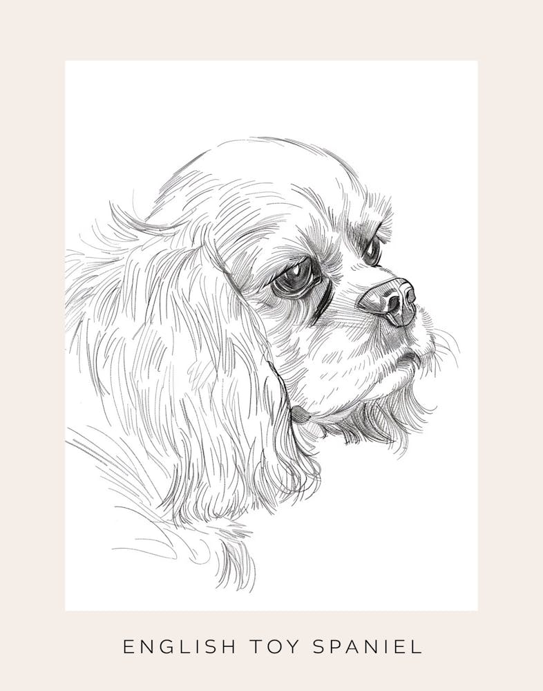 English Toy Spaniel Dog Line Sketch 1 Poster