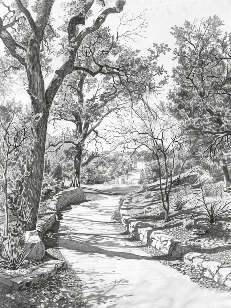 Umlauf Sculpture Garden Museum Austin Texas Black And White Drawing 1