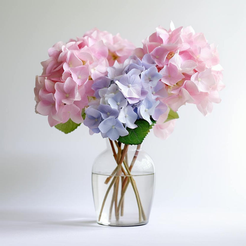 Hydrangeas 1