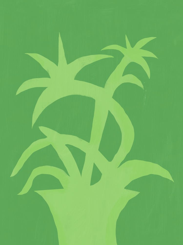 Green Plant In A Pot