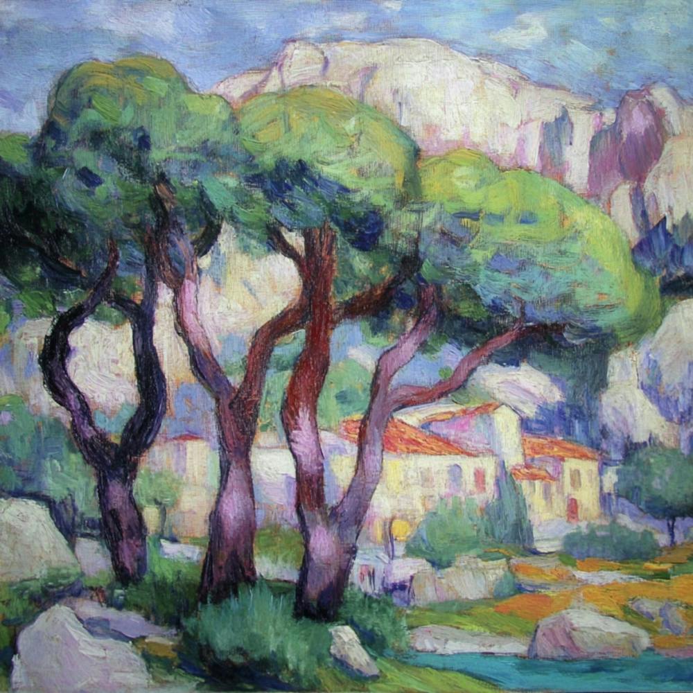 Pine trees In Front Of The House