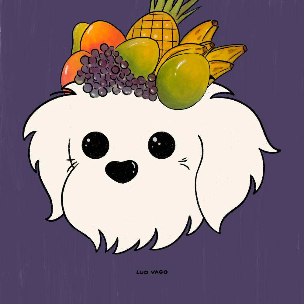 Carmen Miranda Dog