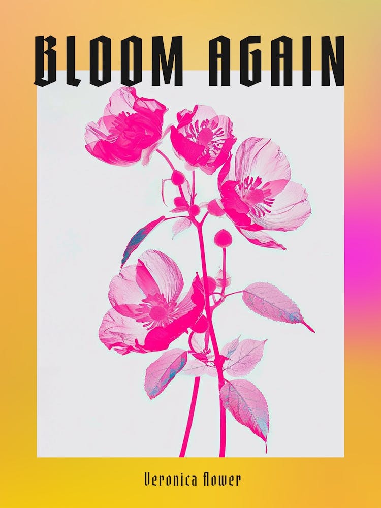 Affiche Fleur de Véronique Rose Vif 1