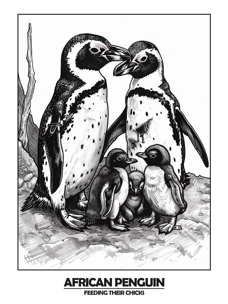 Penguin Feeding Their Chicks Poster 3