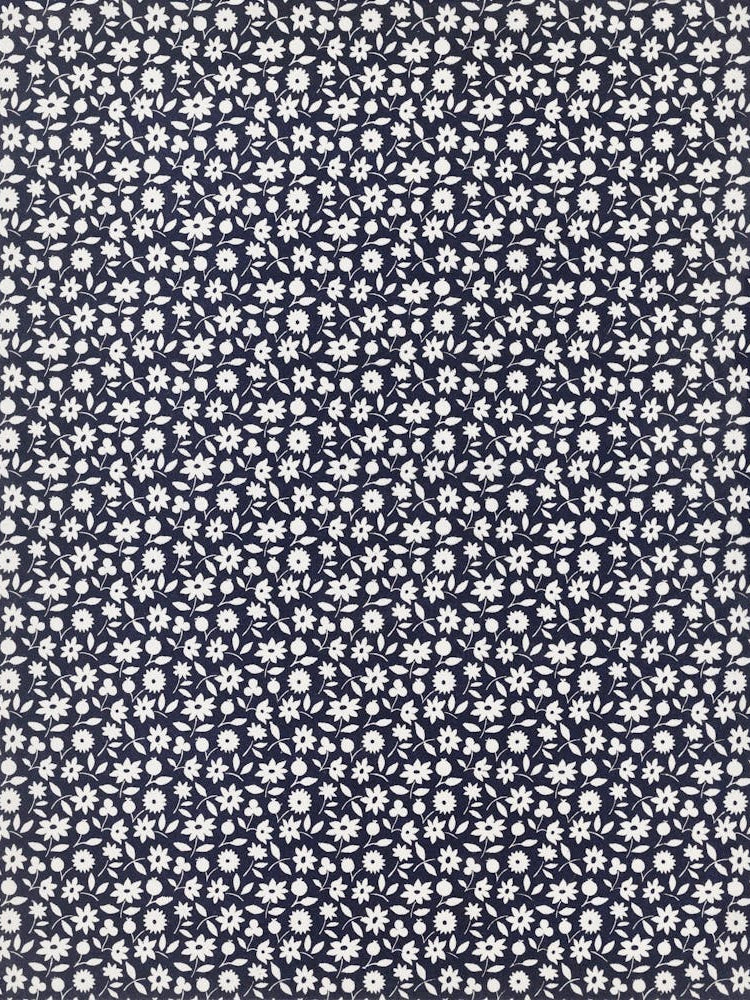 Blue And White Flowers