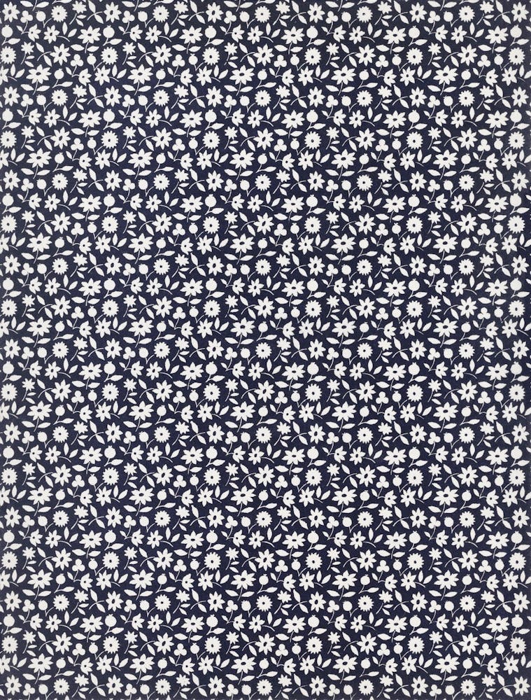 Blue And White Flowers