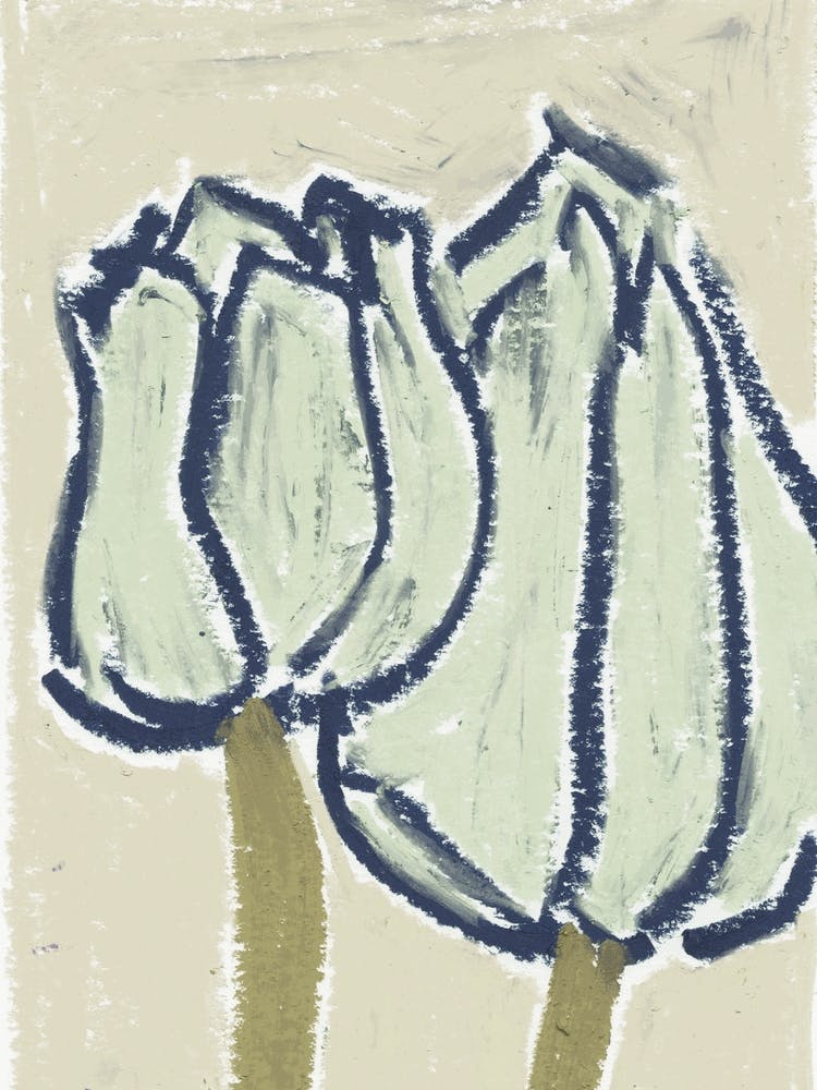 Pastelltulpen