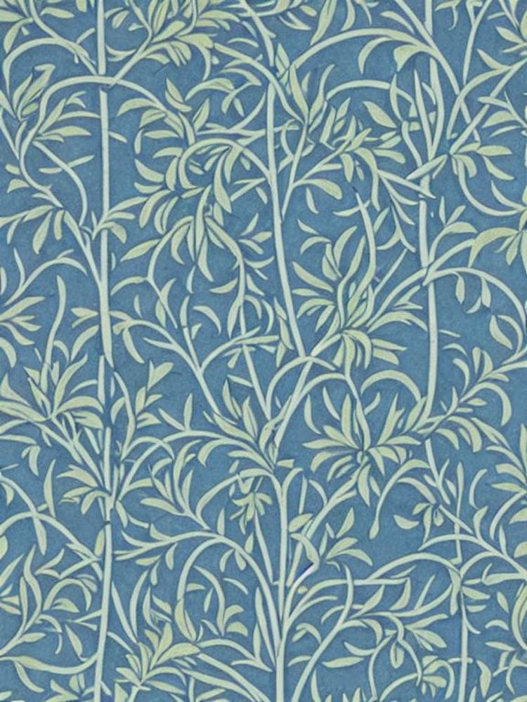 Blue Spruce tree Vintage Botanical