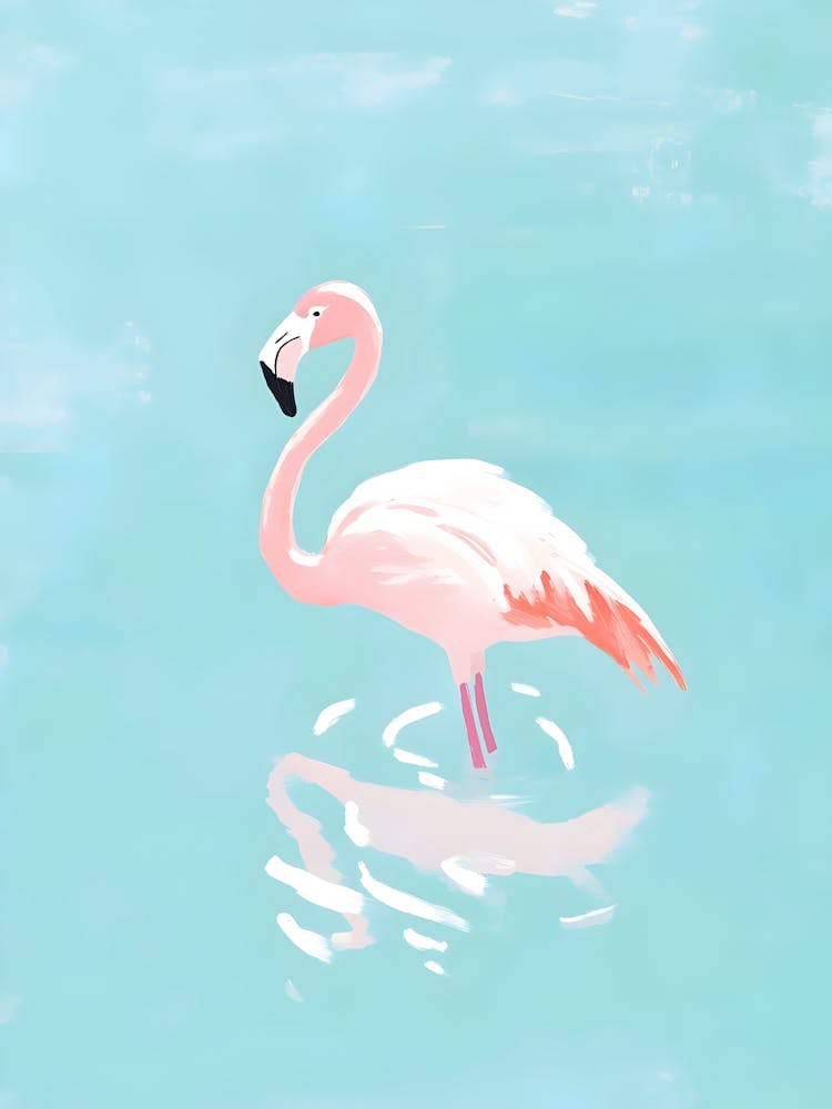 Flamingo In The Water