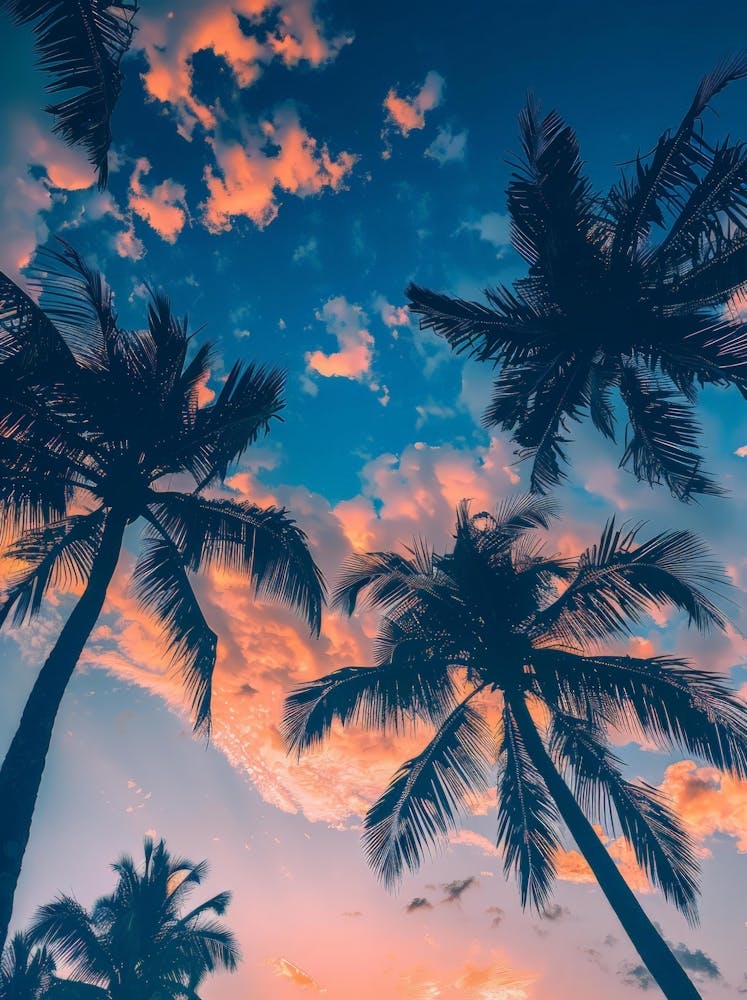 Sunset Palm Trees 1