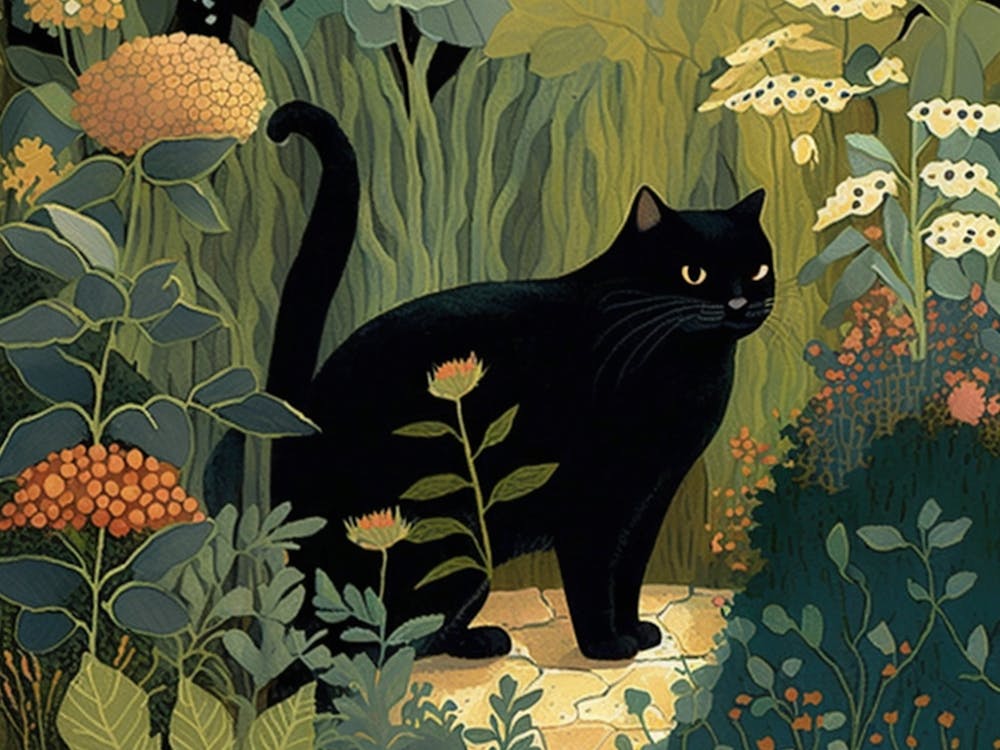 Forest Black Cat 