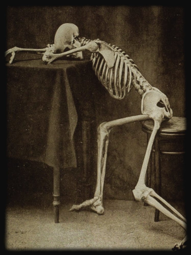 Drunk Skeleton by Albert Hasselwander - Skulls Dark Academia Biology Human Anatomy Wall Decor Funny Spooky Vintage Victorian Witchy Gothic Alcohol Weary Witchcore in Black and White