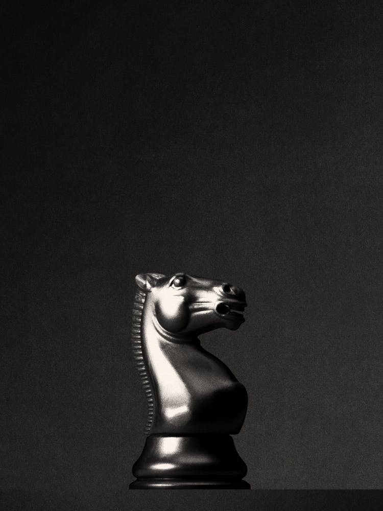 SCHACH - Der Schwarze Springer I