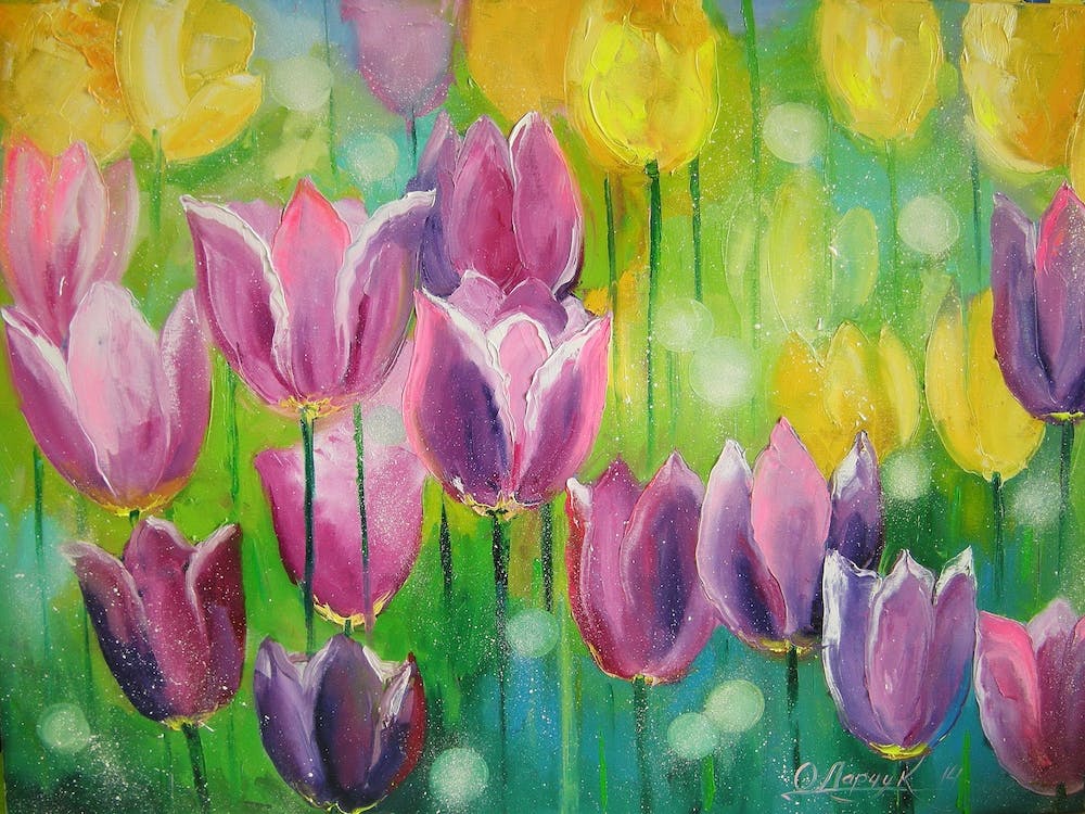 Tulips in the field
