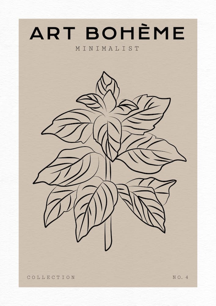 Boho Bohemian 8 Mint