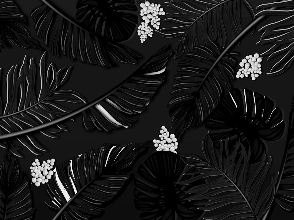 Black And White Tropical Leaves 1
