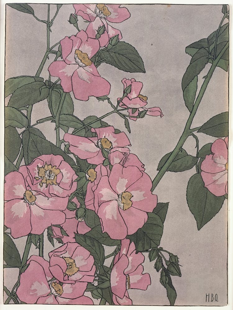 Untitled (Prairie Rose) (Ca