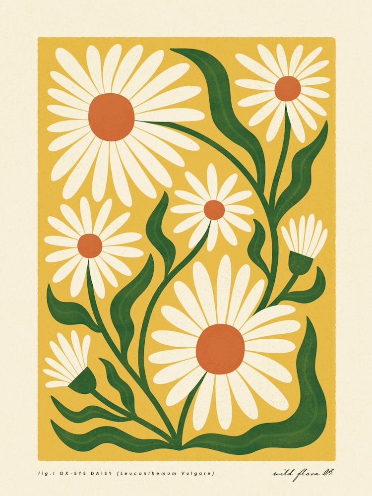 Ox-Eye Daisy Modern-Retro Yellow and Green Wild Flower