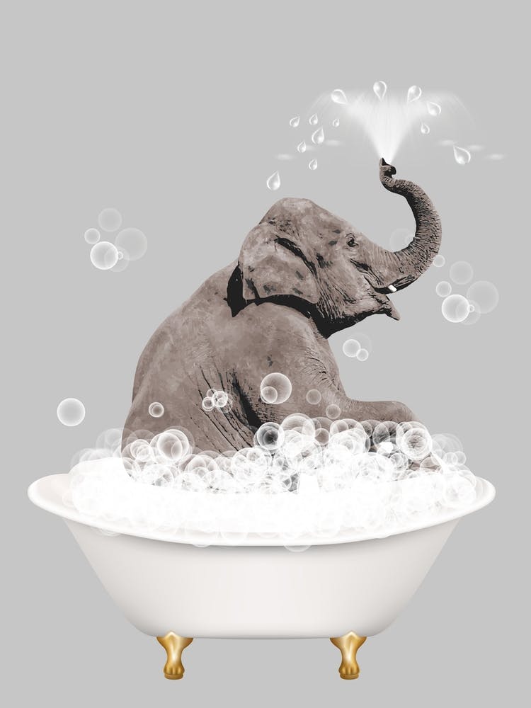 Elephant In The Bath