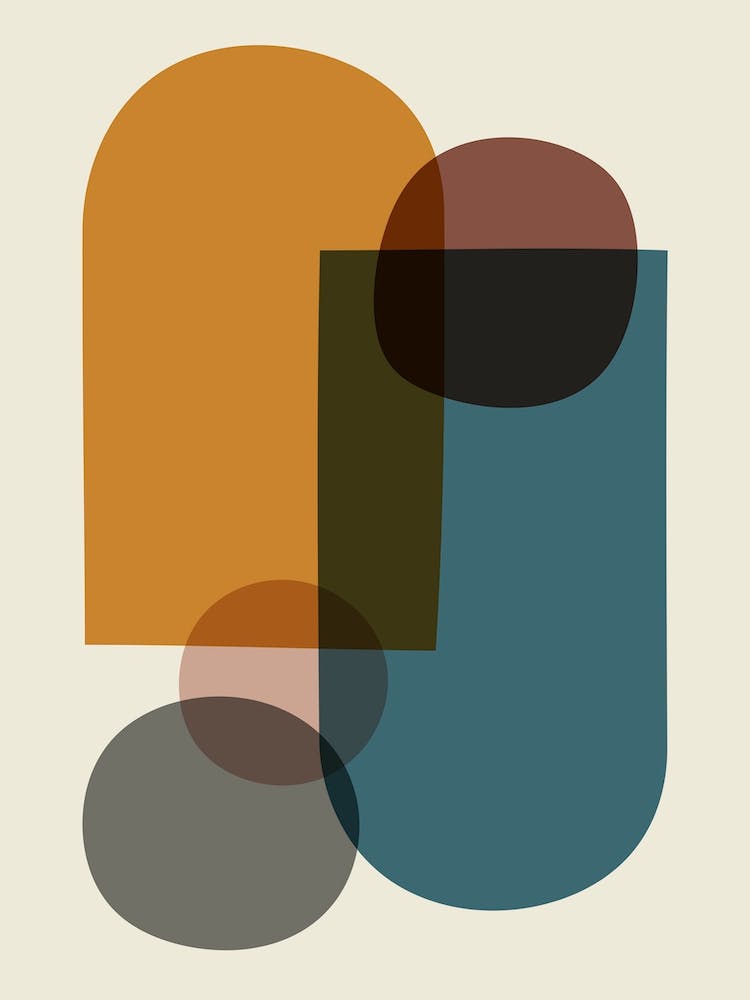 Colorful Mid Century Circles Shapess A