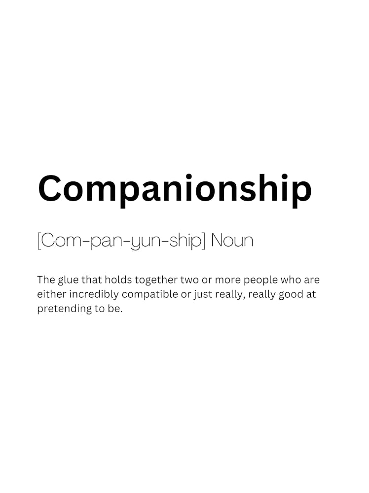 Companionship Definition Meaning