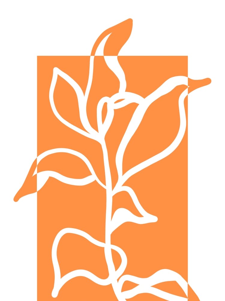 Plant White Space