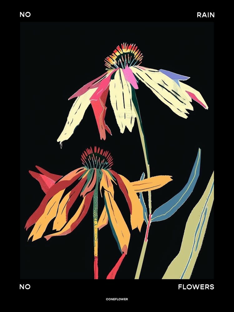 No Rain No Flowers Poster Coneflower 4