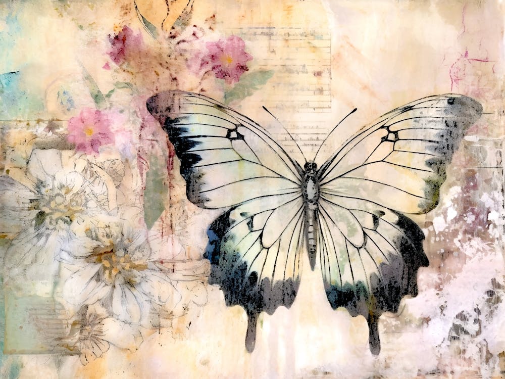 Butterfly And Flowers 3