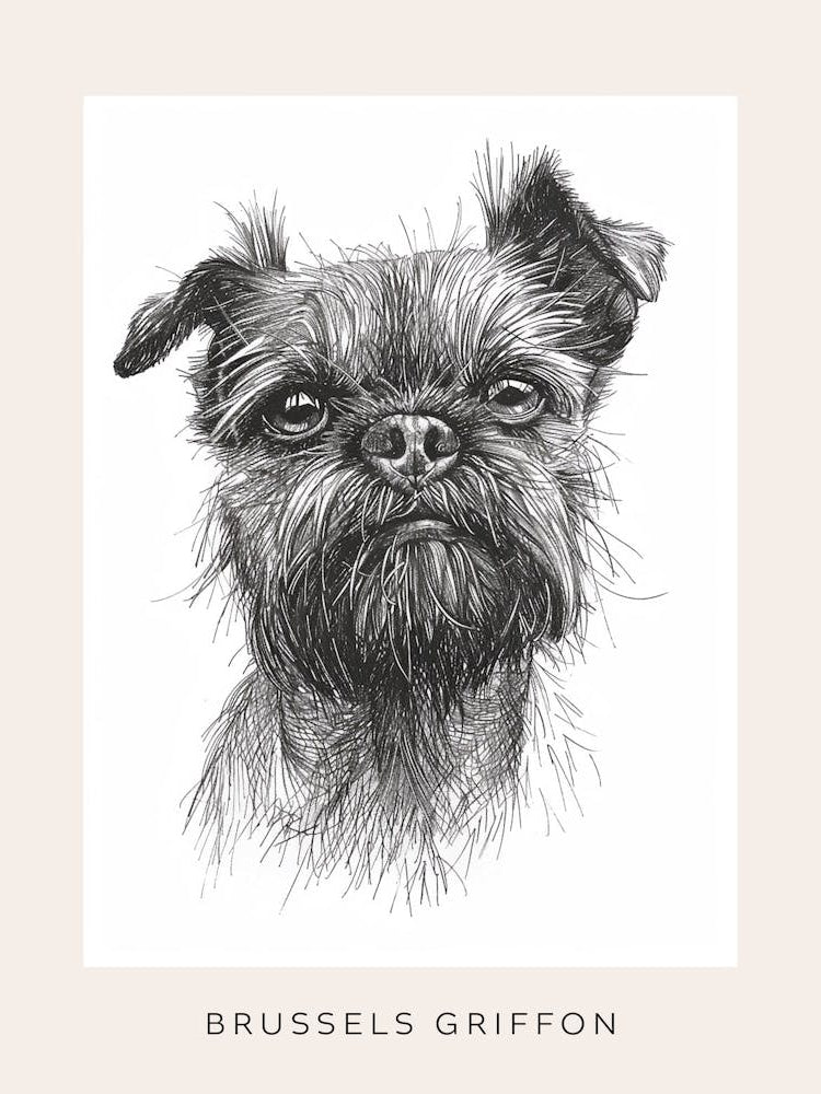 Brussels Griffon Line Sketch 4 Poster