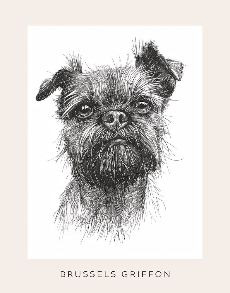 Brussels Griffon Line Sketch 4 Poster