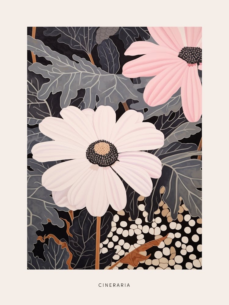 Flower Illustration Cineraria 2 Poster