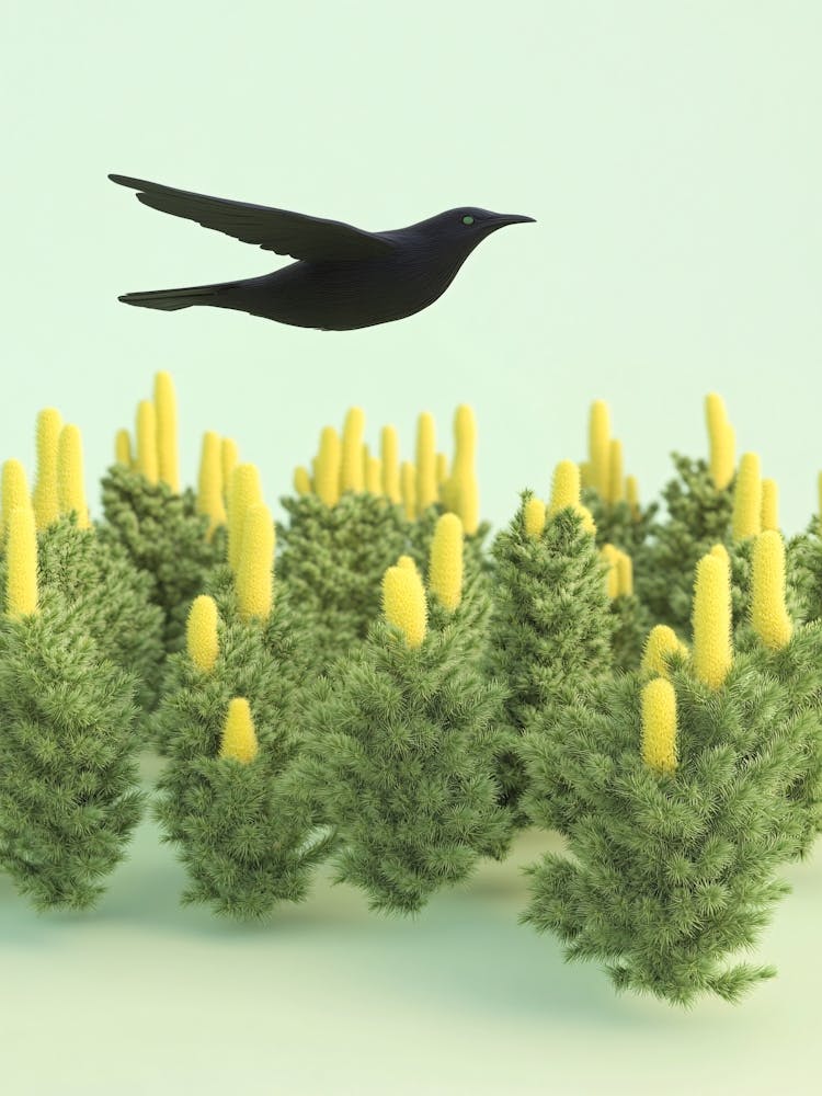 Crow Flying In The Forest