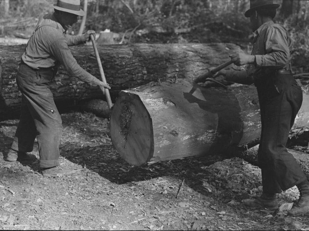 Using Peaveys In Handling Timber At Camp Near Effie, Minnesota By Russell Lee