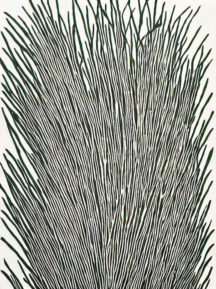 Acropora Aspera Ii Linocut