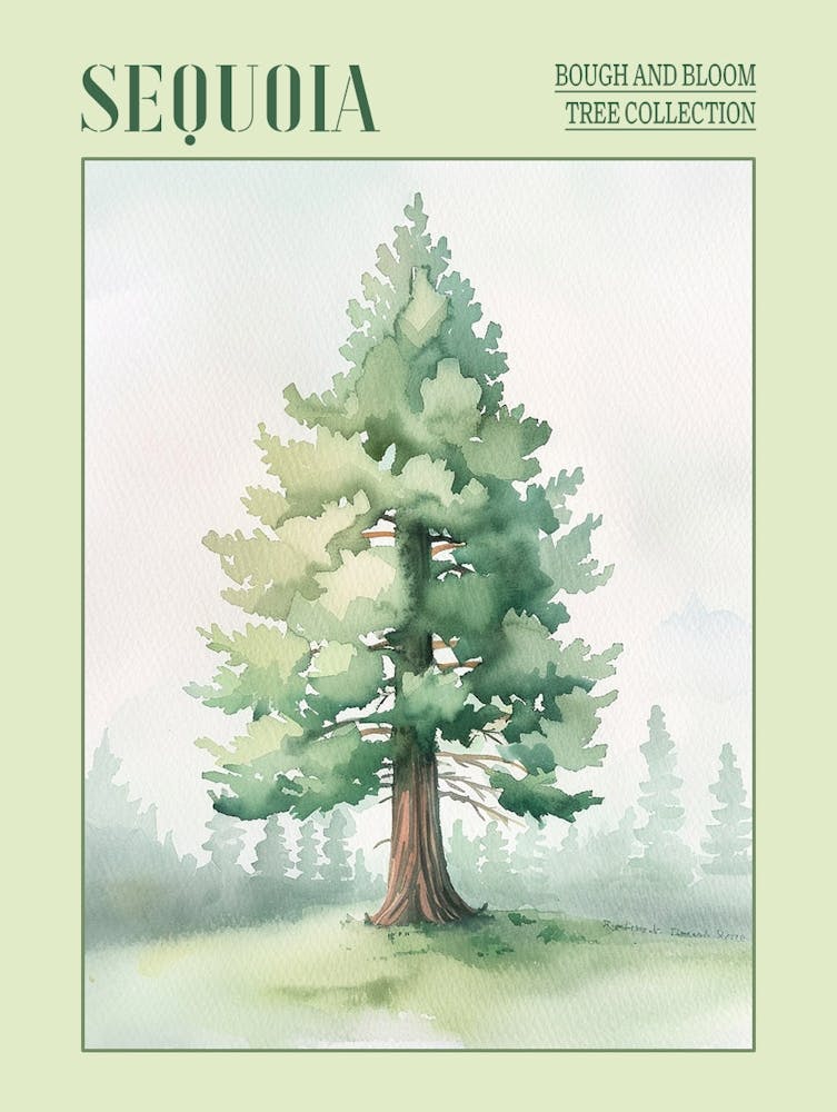 Sequoia Tree Atmospheric Watercolour Painting 7 Poster