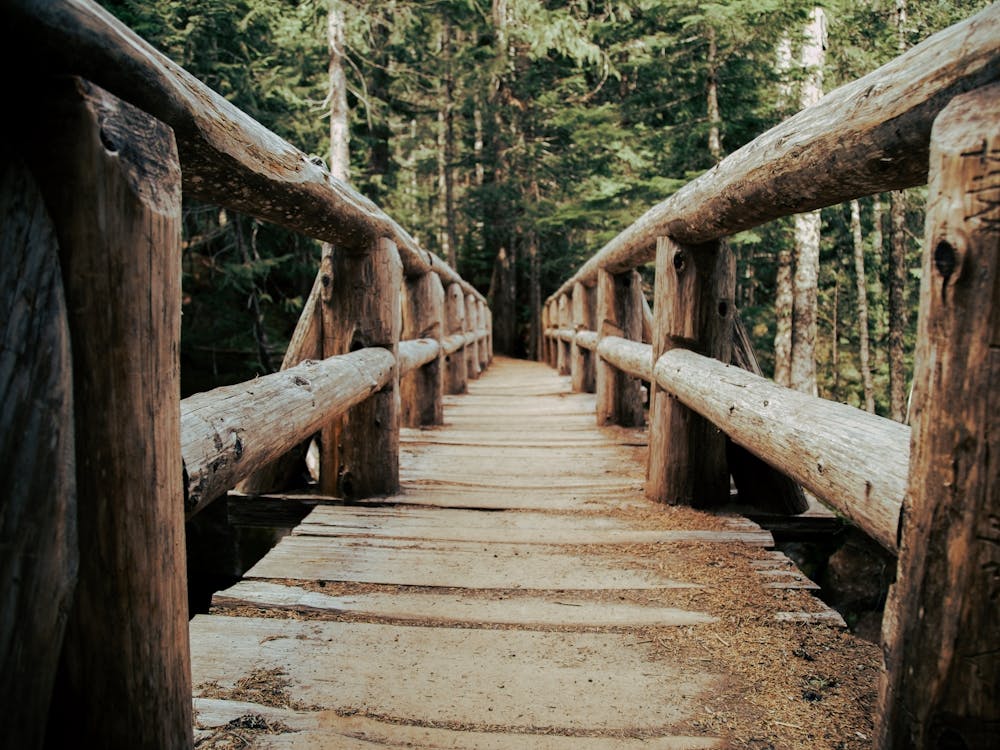 Trail Bridge