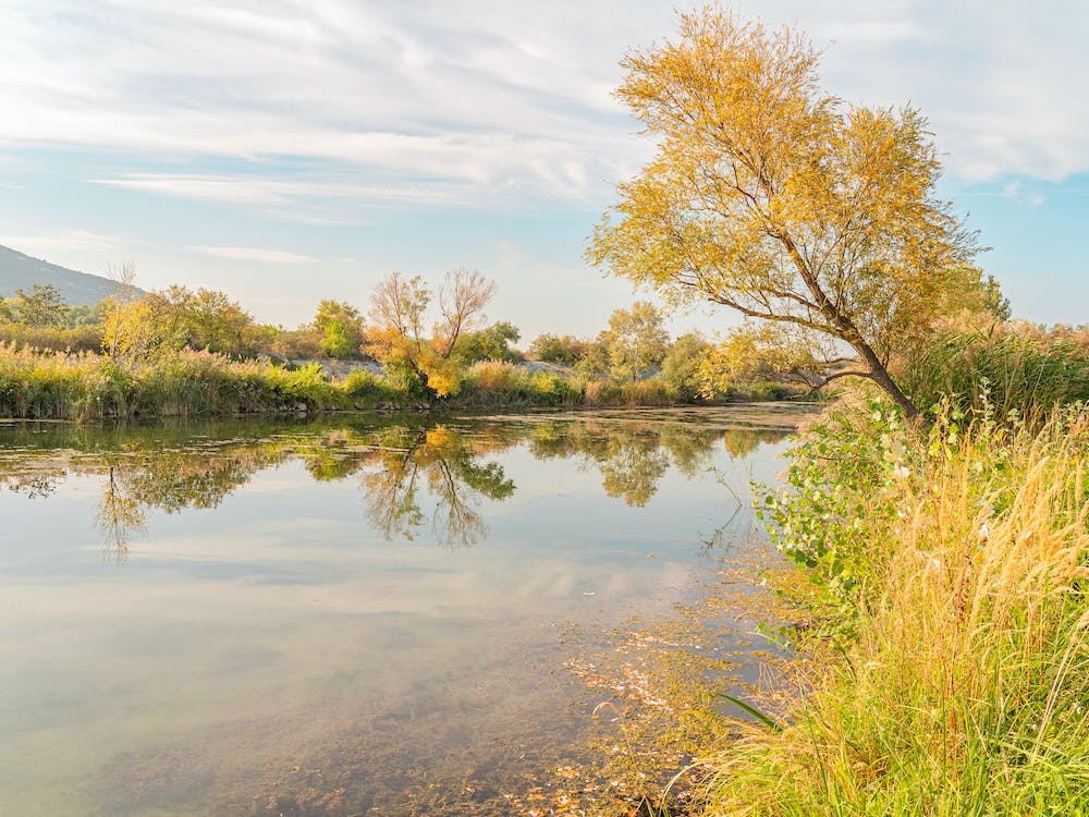 Herbst am See