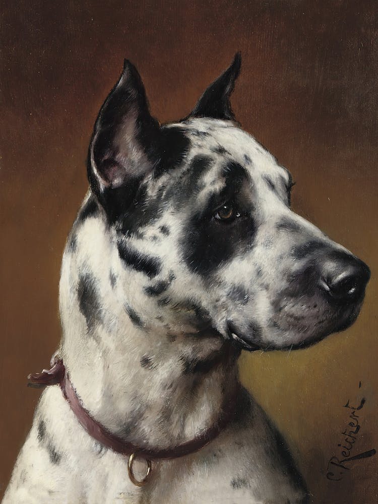 A Great Dane, Carl Reichert