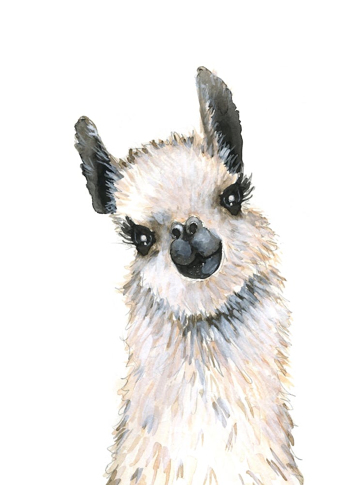 Baby Llama