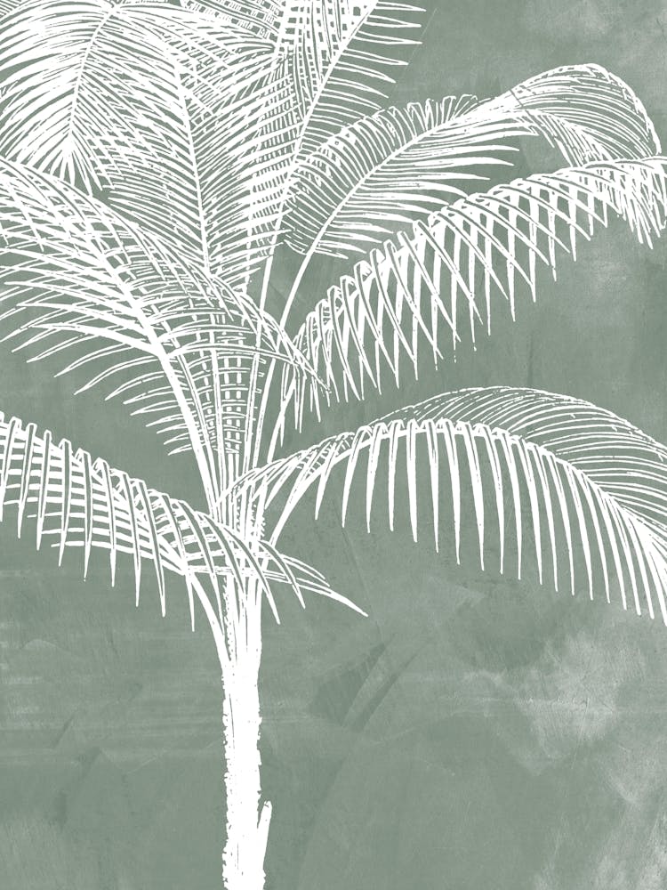 Palm Tree Leaves in Sage Green, Tropical Botanical