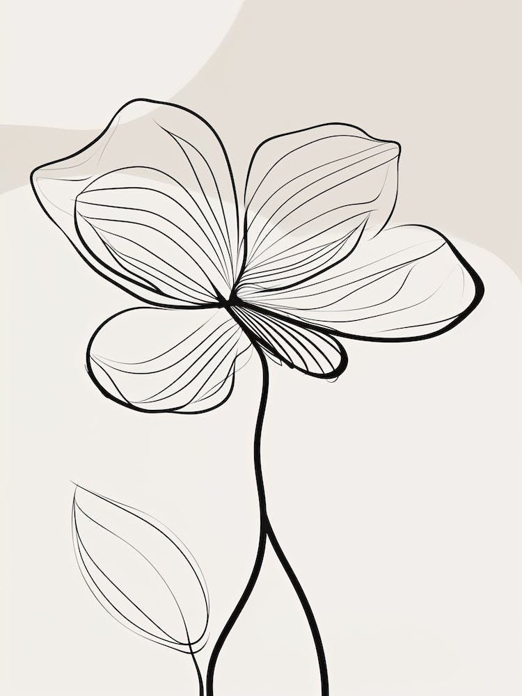 Flower Line Art Abstract 4