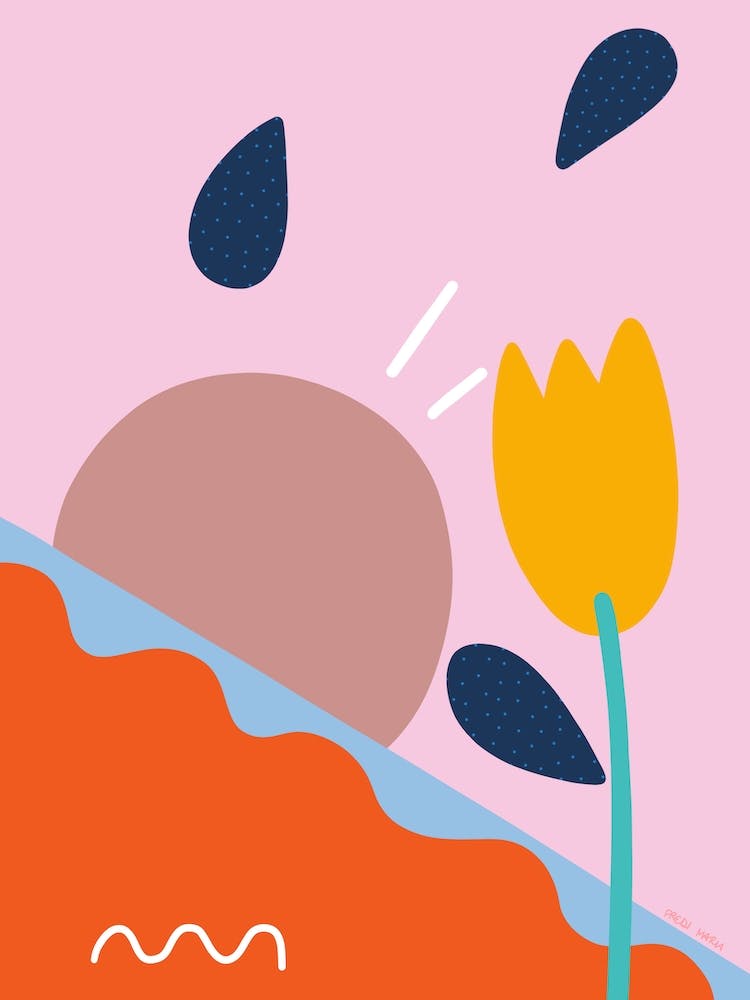 Lever de Soleil Tulipe