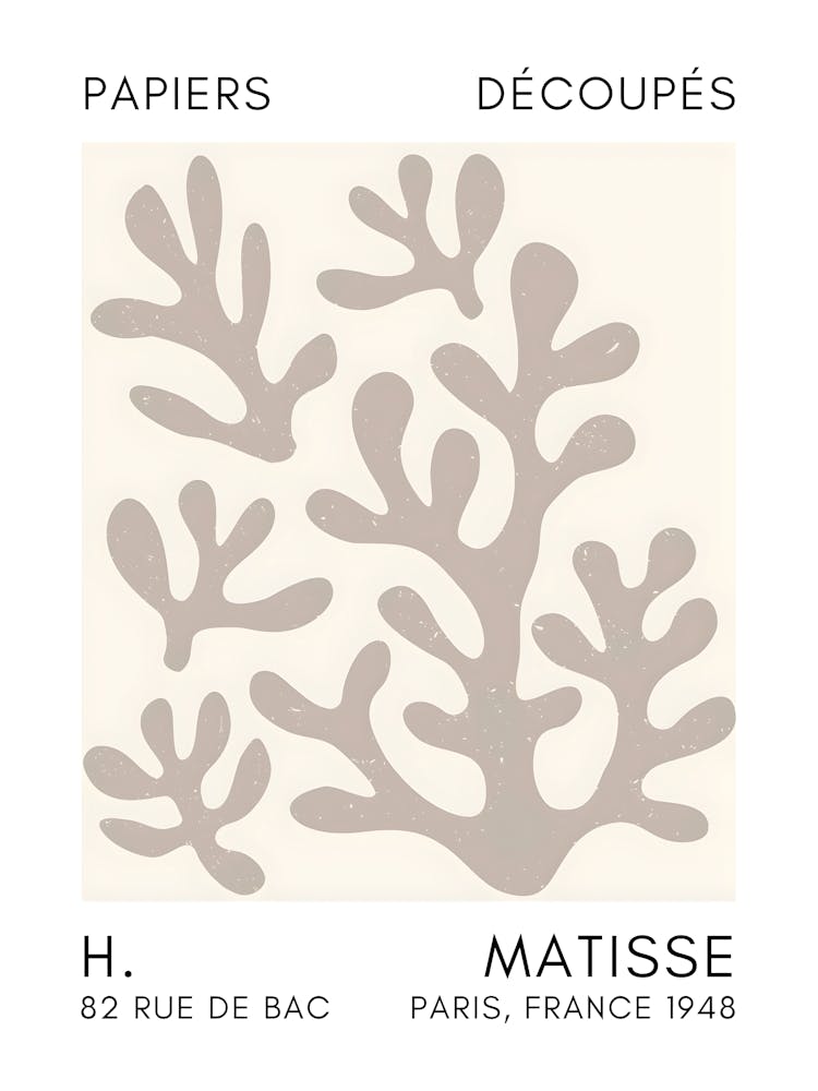 Matisse 22