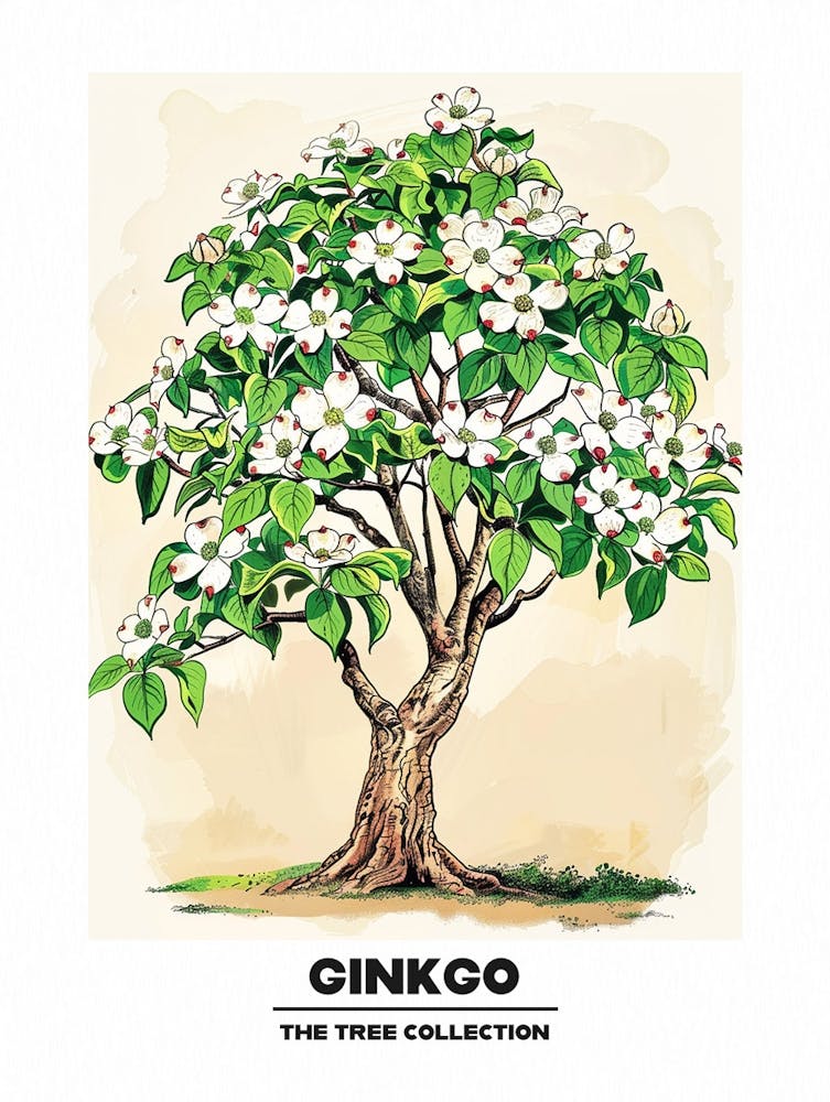 Ginkgo Tree Storybook Illustration 2 Poster
