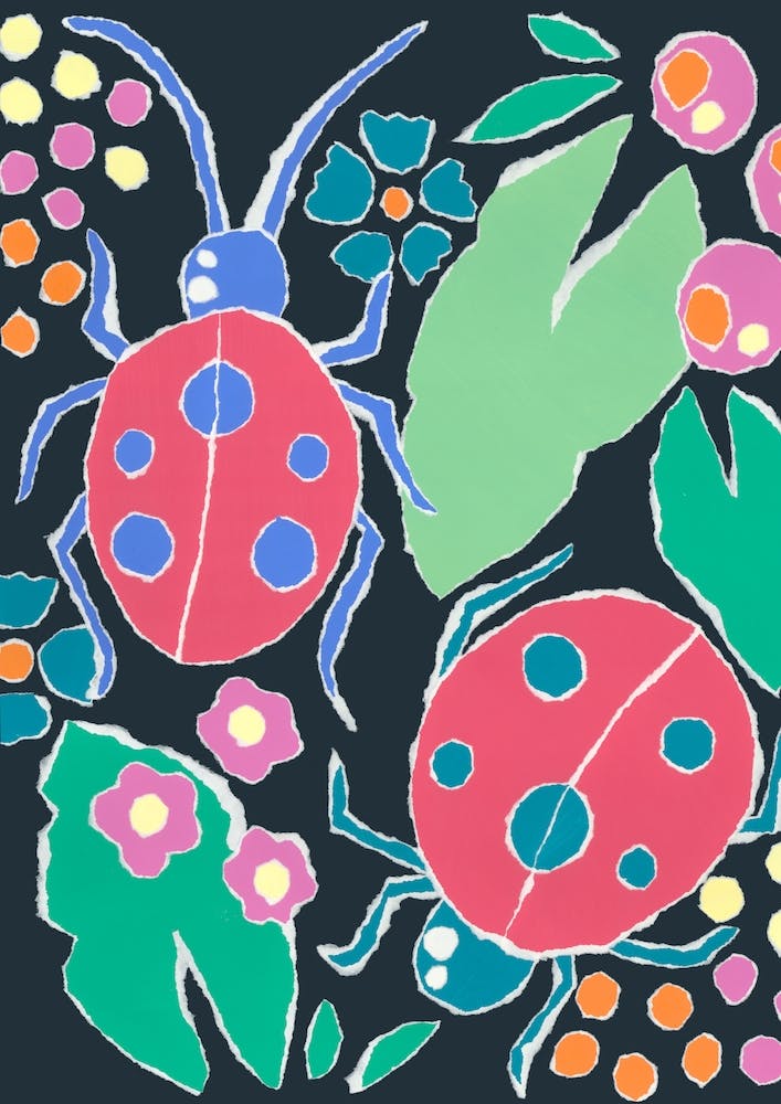 Ladybirds