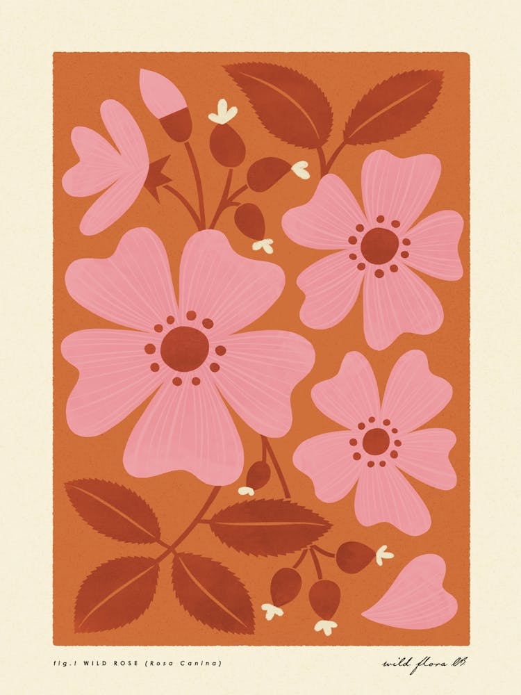 Rose Sauvage Moderne-Rétro Rose et Orange Fleur Sauvage