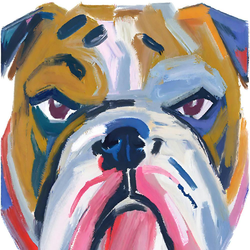 Bulldog 01