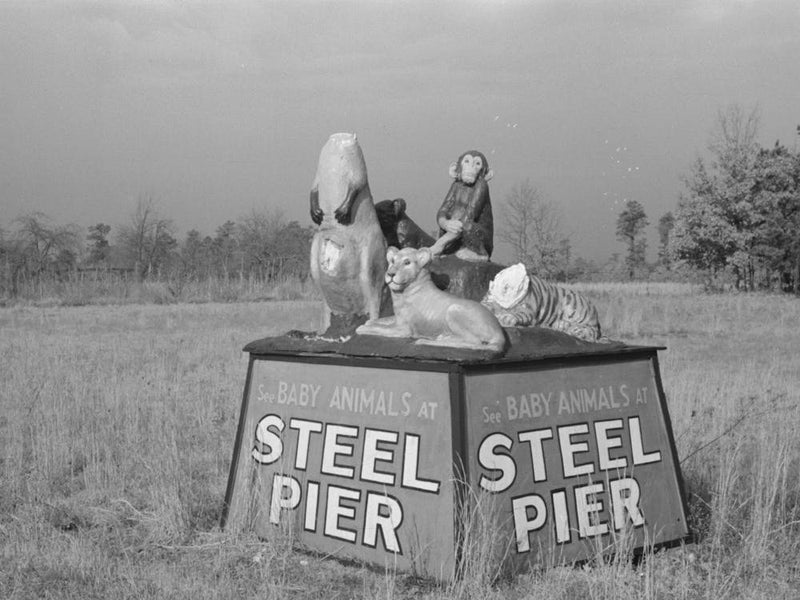 Statue Group Of Animals Advertising Menagerie At Steel Pier, Atlantic City, New Jersey By Russell Lee